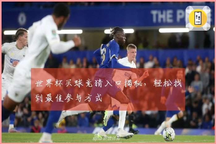 世界杯买球竞猜入口揭秘，轻松找到最佳参与方式
