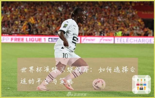 世界杯滚球买球推荐：如何选择合适的平台与策略