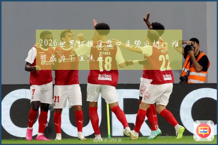 2026世界杯投注盘口走势分析，谁将成为下注焦点