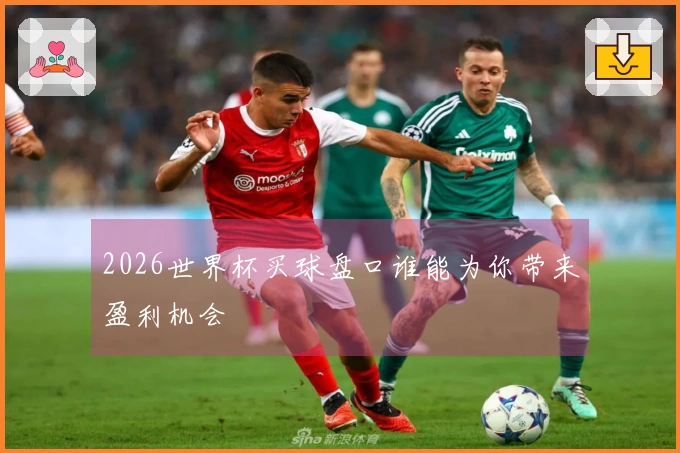 2026世界杯买球盘口谁能为你带来盈利机会
