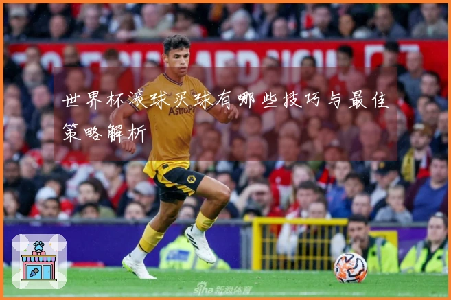 世界杯滚球买球有哪些技巧与最佳策略解析