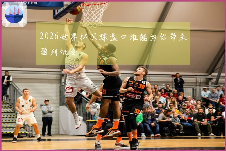 2026世界杯买球盘口谁能为你带来盈利机会