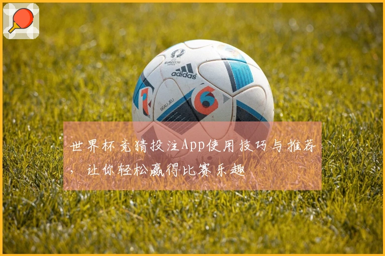 世界杯竞猜投注App使用技巧与推荐，让你轻松赢得比赛乐趣