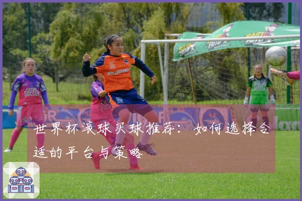 世界杯滚球买球推荐：如何选择合适的平台与策略